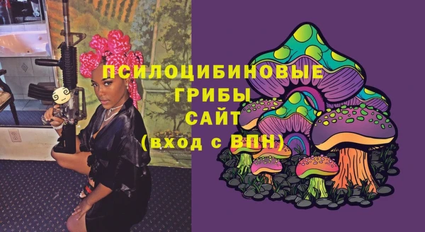 СК Алексеевка