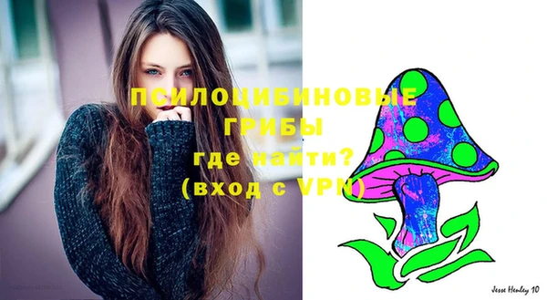 СК Алексеевка