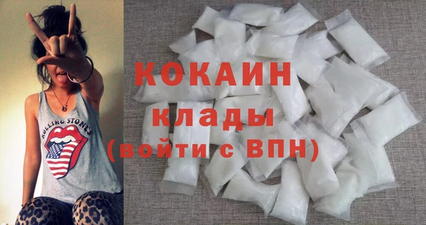 ешки Алексин