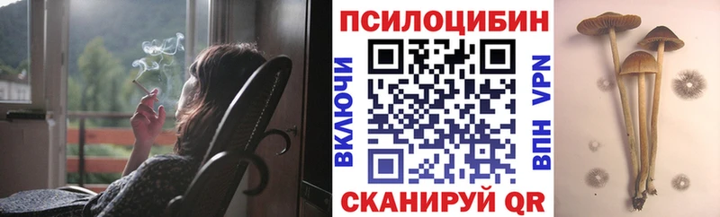 где купить   Жирновск  Псилоцибиновые грибы мухоморы 